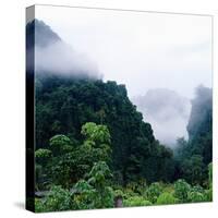 Tropical Rainforest Thailand-null-Stretched Canvas