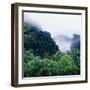 Tropical Rainforest Thailand-null-Framed Photographic Print