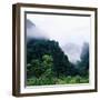 Tropical Rainforest Thailand-null-Framed Photographic Print