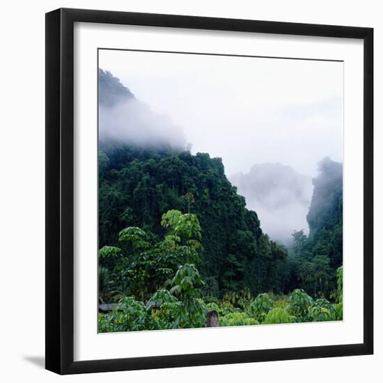 Tropical Rainforest Thailand-null-Framed Photographic Print