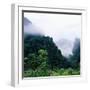 Tropical Rainforest Thailand-null-Framed Photographic Print