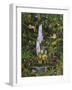 Tropical Rainforest-Betty Lou-Framed Giclee Print