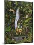 Tropical Rainforest-Betty Lou-Mounted Giclee Print