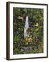 Tropical Rainforest-Betty Lou-Framed Giclee Print