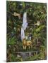 Tropical Rainforest-Betty Lou-Mounted Giclee Print