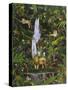 Tropical Rainforest-Betty Lou-Stretched Canvas