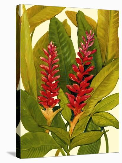 Tropical Red Ginger-Tim O'toole-Stretched Canvas