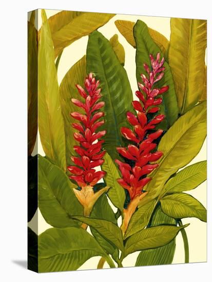 Tropical Red Ginger-Tim O'toole-Stretched Canvas