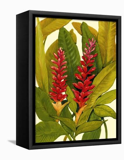 Tropical Red Ginger-Tim O'toole-Framed Stretched Canvas