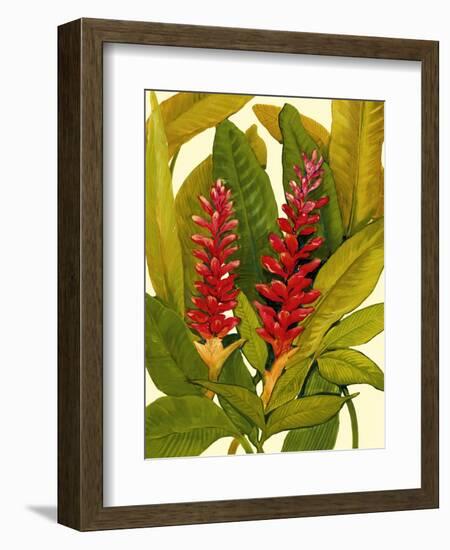 Tropical Red Ginger-Tim O'toole-Framed Art Print