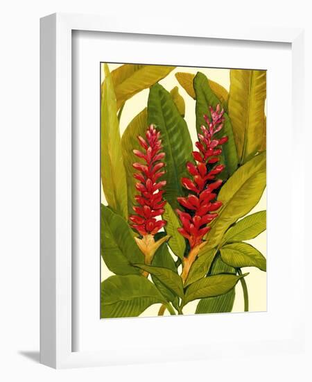 Tropical Red Ginger-Tim O'toole-Framed Art Print