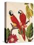 Tropical Red Pair-Colleen Sarah-Stretched Canvas