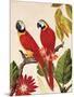 Tropical Red Pair-Colleen Sarah-Mounted Art Print