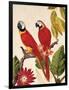 Tropical Red Pair-Colleen Sarah-Framed Art Print