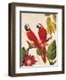 Tropical Red Pair-Colleen Sarah-Framed Art Print