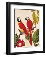 Tropical Red Pair-Colleen Sarah-Framed Art Print