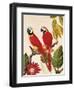 Tropical Red Pair-Colleen Sarah-Framed Art Print