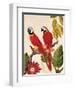 Tropical Red Pair-Colleen Sarah-Framed Art Print