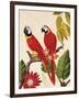 Tropical Red Pair-Colleen Sarah-Framed Art Print