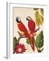 Tropical Red Pair-Colleen Sarah-Framed Art Print