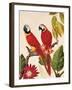 Tropical Red Pair-Colleen Sarah-Framed Art Print