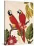 Tropical Red Pair-Colleen Sarah-Stretched Canvas