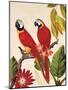 Tropical Red Pair-Colleen Sarah-Mounted Art Print