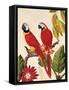 Tropical Red Pair-Colleen Sarah-Framed Stretched Canvas