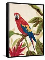 Tropical Red-Colleen Sarah-Framed Stretched Canvas