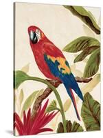 Tropical Red-Colleen Sarah-Stretched Canvas