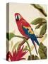 Tropical Red-Colleen Sarah-Stretched Canvas