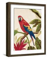 Tropical Red-Colleen Sarah-Framed Art Print