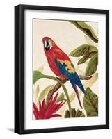 Tropical Red-Colleen Sarah-Framed Art Print