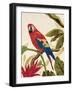 Tropical Red-Colleen Sarah-Framed Art Print