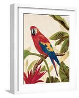 Tropical Red-Colleen Sarah-Framed Art Print