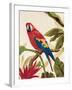 Tropical Red-Colleen Sarah-Framed Art Print