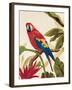 Tropical Red-Colleen Sarah-Framed Art Print