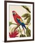 Tropical Red-Colleen Sarah-Framed Art Print