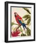 Tropical Red-Colleen Sarah-Framed Art Print