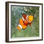 Tropical Reef Fish - Clownfish (Amphiprion Ocellaris) Macro With Shallow Dof-Kletr-Framed Photographic Print