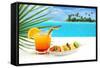 Tropical Refreshment-paulista-Framed Stretched Canvas