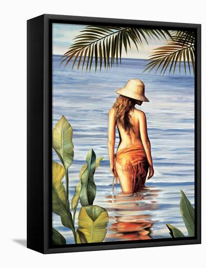 Tropical Resort II-Migdalia Arellano-Framed Stretched Canvas