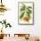 Tropical Rhododendron I-Horto Van Houtteano-Framed Stretched Canvas displayed on a wall