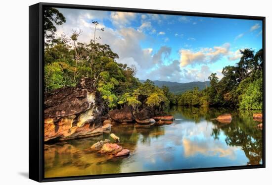 Tropical River Masoala-dennisvdw-Framed Stretched Canvas