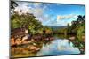 Tropical River Masoala-dennisvdw-Mounted Photographic Print