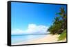 Tropical Sandy Beach with Palm Trees at Sunny Day. South of Bali, Jimbaran Beach-Dudarev Mikhail-Framed Stretched Canvas