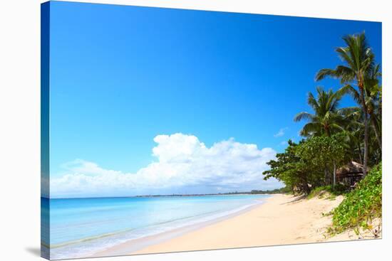 Tropical Sandy Beach with Palm Trees at Sunny Day. South of Bali, Jimbaran Beach-Dudarev Mikhail-Stretched Canvas