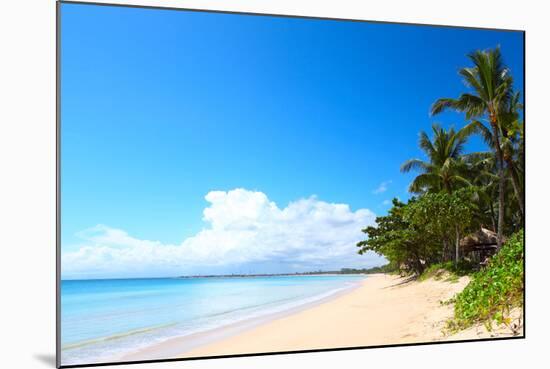 Tropical Sandy Beach with Palm Trees at Sunny Day. South of Bali, Jimbaran Beach-Dudarev Mikhail-Mounted Photographic Print