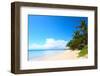 Tropical Sandy Beach with Palm Trees at Sunny Day. South of Bali, Jimbaran Beach-Dudarev Mikhail-Framed Photographic Print