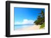 Tropical Sandy Beach with Palm Trees at Sunny Day. South of Bali, Jimbaran Beach-Dudarev Mikhail-Framed Photographic Print